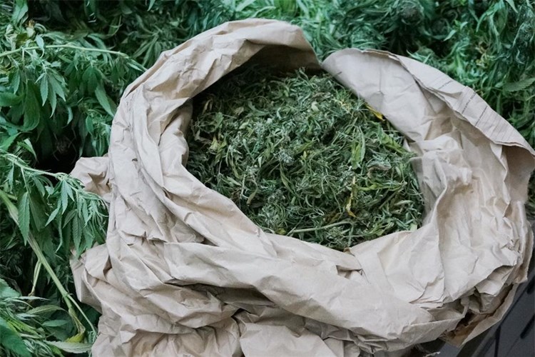 Slika /2018/marihuana u vreći.JPG